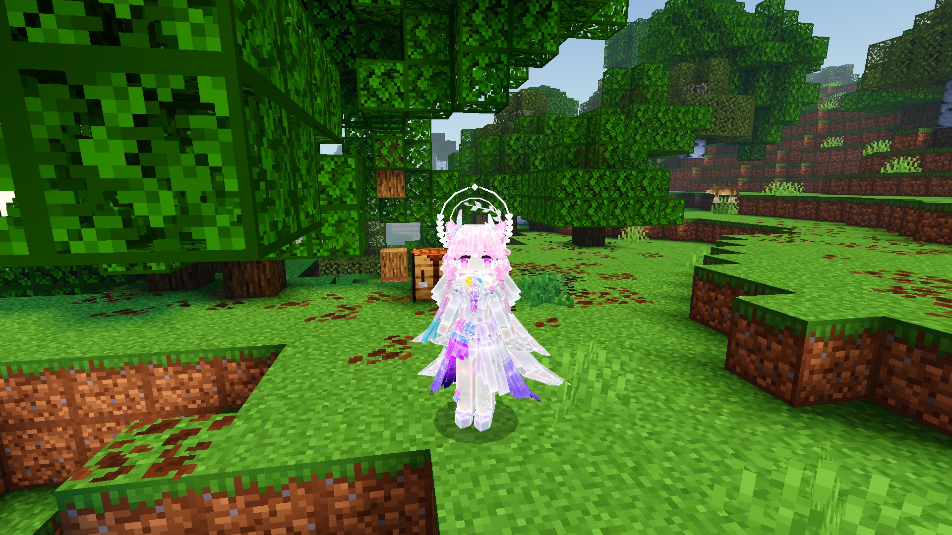 服务器第四次轮回